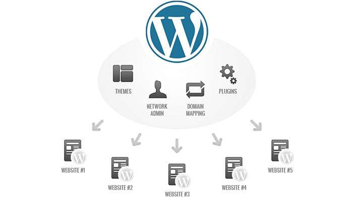 Migrar un sitio de WordPress Multisite a un sitio individual